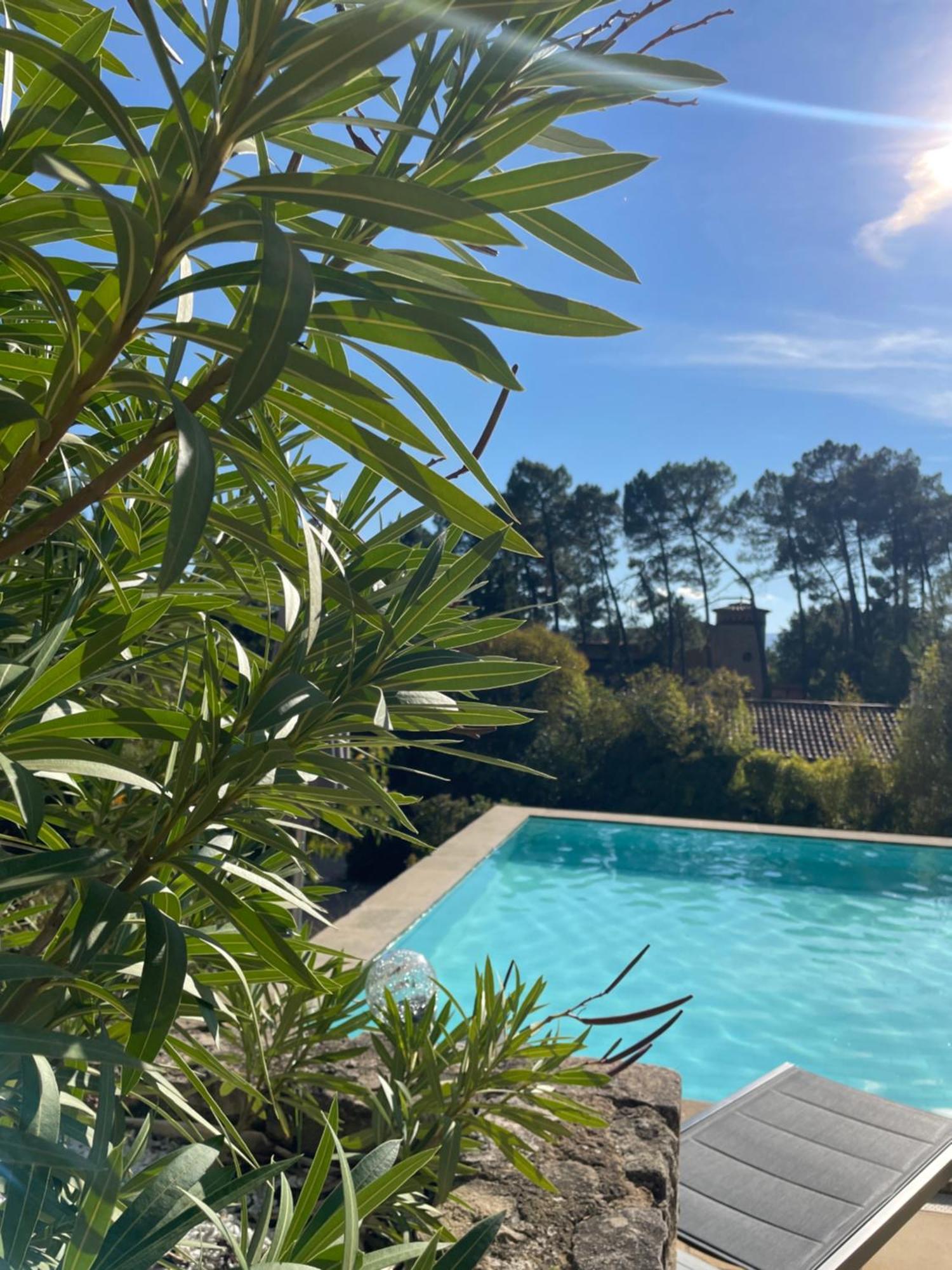O Coeur Des Ocres Appartement Roussillon en Isere Buitenkant foto