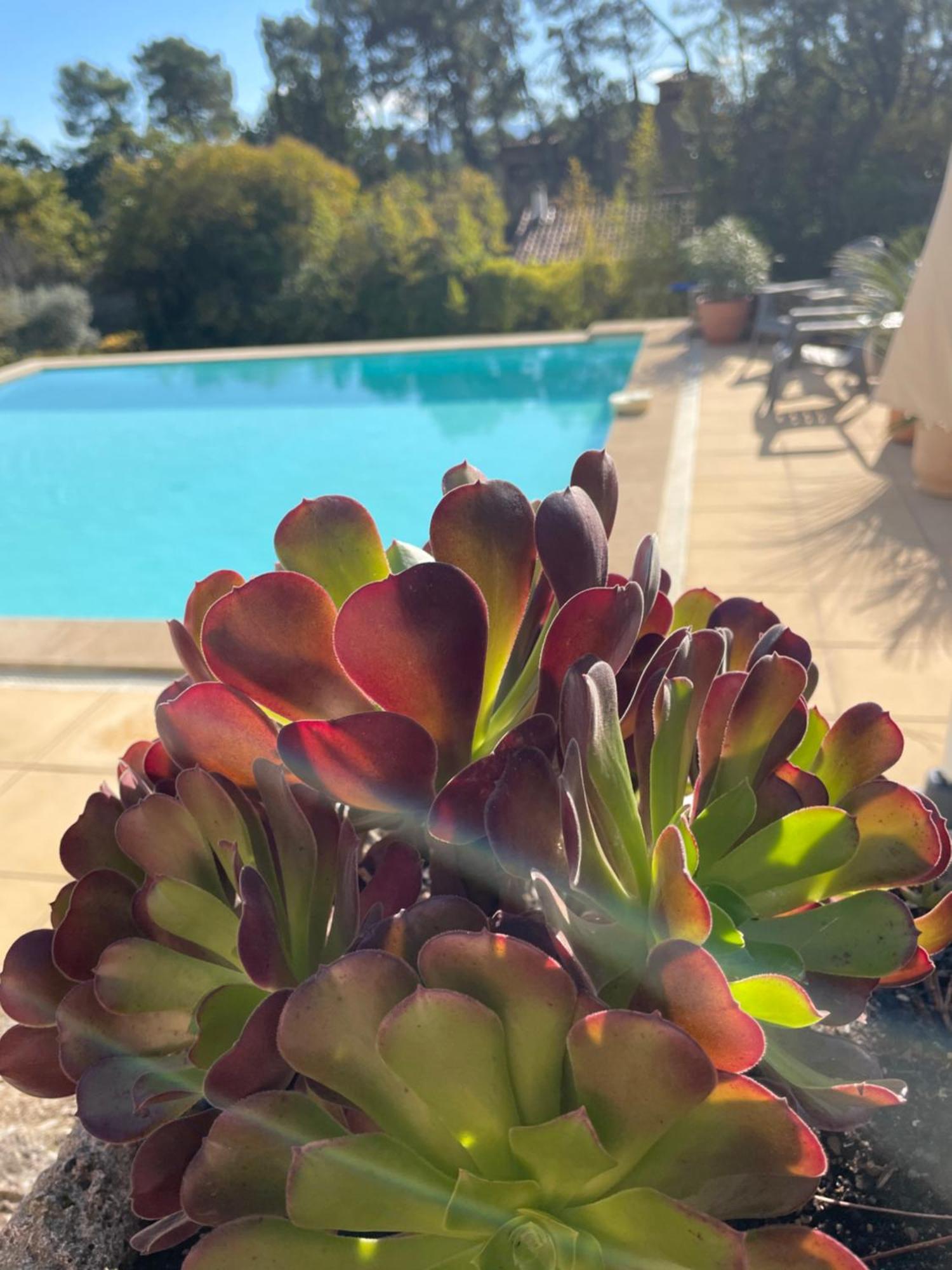 O Coeur Des Ocres Appartement Roussillon en Isere Buitenkant foto