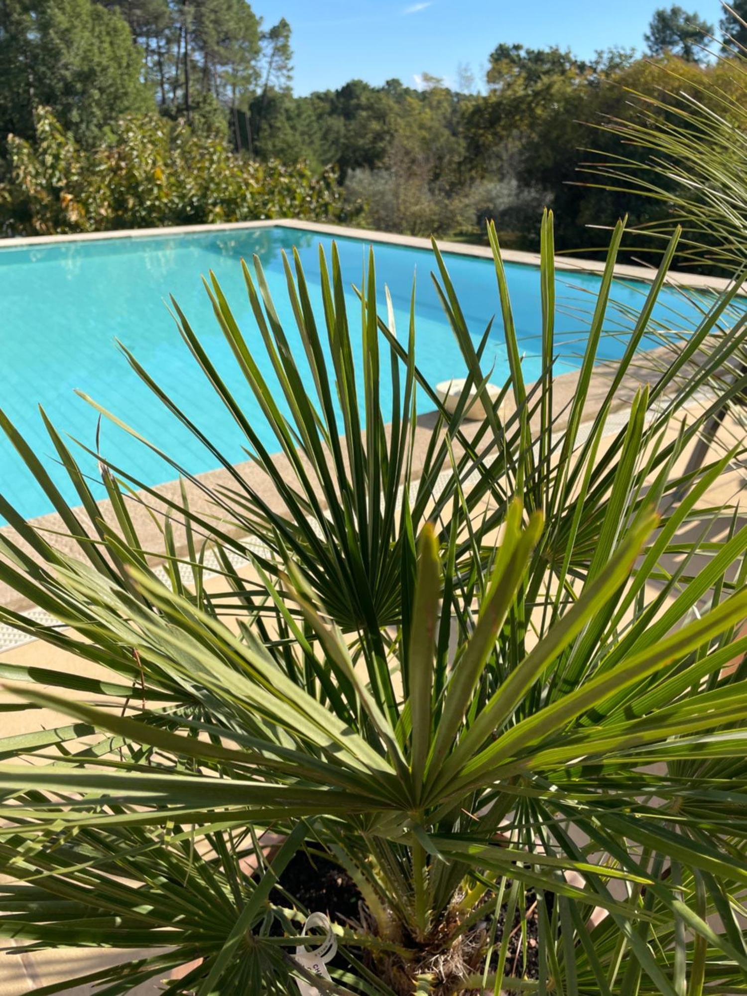 O Coeur Des Ocres Appartement Roussillon en Isere Buitenkant foto